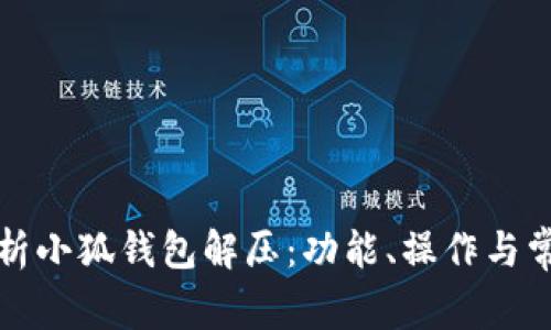 全面解析小狐钱包解压：功能、操作与常见问题
