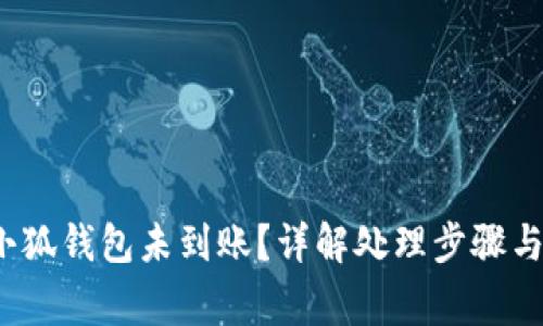  提现到小狐钱包未到账？详解处理步骤与常见问题