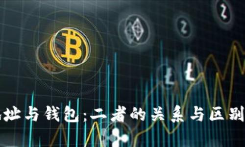 比特币地址与钱包：二者的关系与区别全面解析