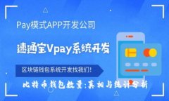 比特币钱包数量：真相与