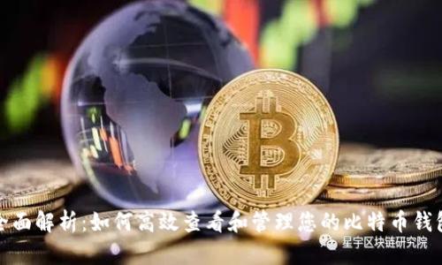 全面解析：如何高效查看和管理您的比特币钱包