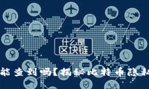 比特币个人钱包能查到吗？揭秘比特币隐私安全与追踪技术