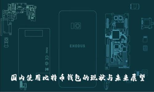 国内使用比特币钱包的现状与未来展望