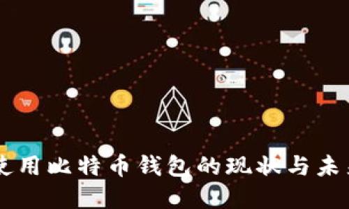 国内使用比特币钱包的现状与未来展望