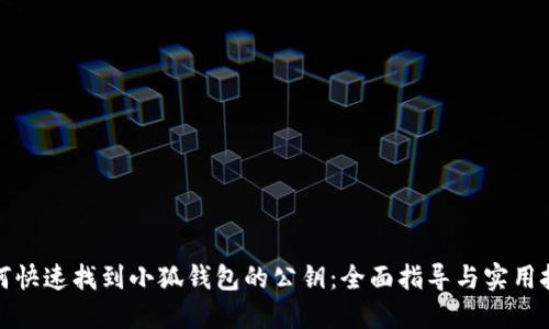 如何快速找到小狐钱包的公钥：全面指导与实用技巧