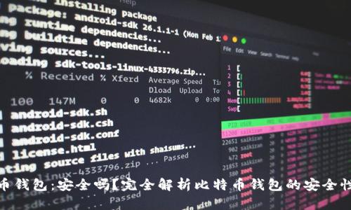 存比特币钱包：安全吗？完全解析比特币钱包的安全性与风险