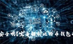 存比特币钱包：安全吗？