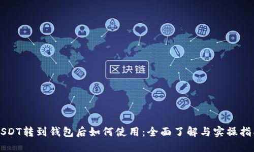 USDT转到钱包后如何使用：全面了解与实操指南