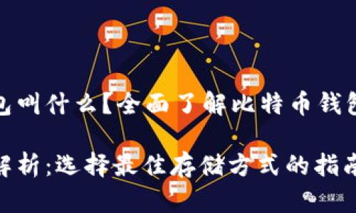 存储比特币的钱包叫什么？全面了解比特币钱包的种类与安全性

比特币钱包深度解析：选择最佳存储方式的指南