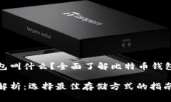 存储比特币的钱包叫什么