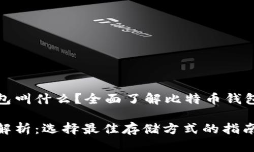 存储比特币的钱包叫什么？全面了解比特币钱包的种类与安全性

比特币钱包深度解析：选择最佳存储方式的指南