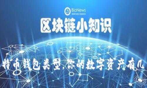 彻底解密：常用比特币钱包类型，你的数字资产有几种安全存储方式？