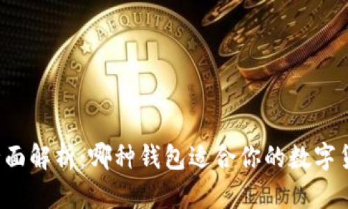 比特币钱包全面解析：哪种钱包适合你的数字货币存储需求？