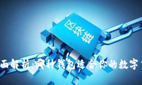 比特币钱包全面解析：哪种钱包适合你的数字货币存储需求？
