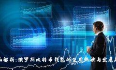 全面解析：俄罗斯比特币