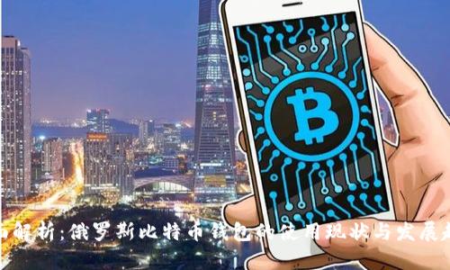全面解析：俄罗斯比特币钱包的使用现状与发展趋势