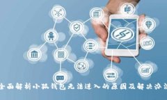 全面解析小狐钱包无法进