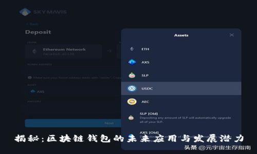 揭秘：区块链钱包的未来应用与发展潜力