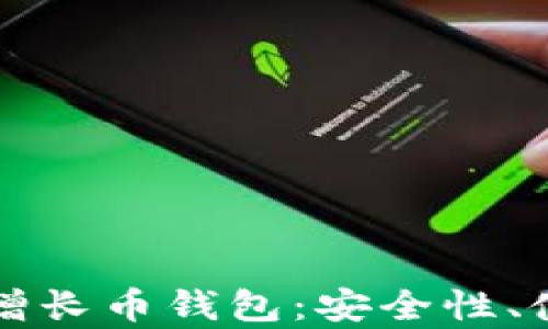 
全面解析比特时代增长币钱包：安全性、使用指南与未来展望