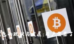 比特币钱包的现状与发展：用户需要了解的信息