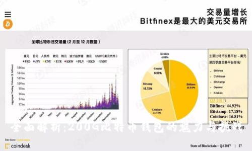 全面解析：200G比特币钱包的魅力与挑战