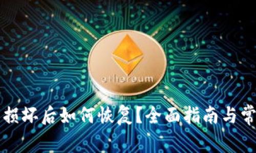 比特币钱包损坏后如何恢复？全面指南与常见问题解析