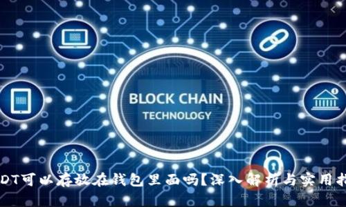 USDT可以存放在钱包里面吗？深入解析与实用指南