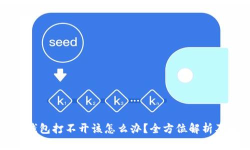 比特币冷钱包打不开该怎么办？全方位解析及解决方案