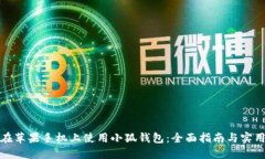 如何在苹果手机上使用小
