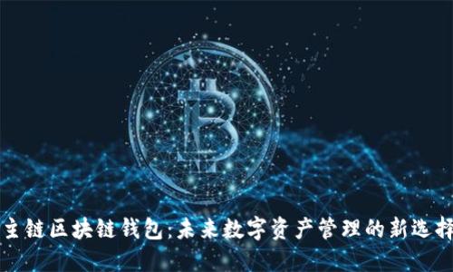 主链区块链钱包：未来数字资产管理的新选择