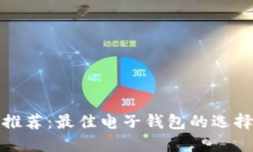 比特币钱包推荐：最佳电子钱包的选择指南与比较