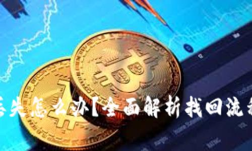 : 小狐钱包丢失怎么办？全面解析找回流程与注意事项