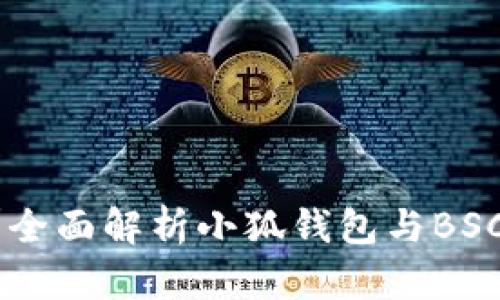 小狐钱包支持BSC吗？全面解析小狐钱包与BSC的兼容性及使用技巧