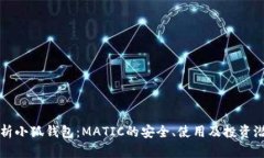 全面解析小狐钱包：MATIC的安全、使用及投资潜力