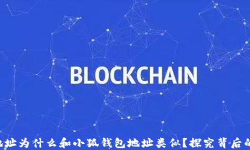 
Ronin钱包地址为什么和小狐钱包地址类似？探究背后的技术与现象