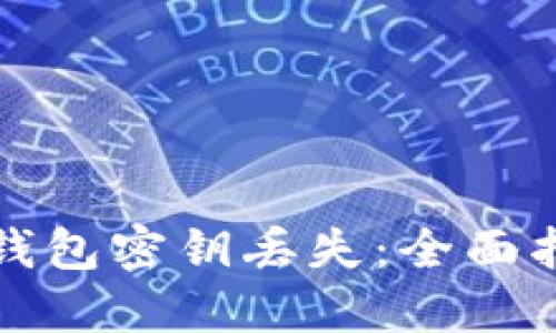 如何处理小狐钱包密钥丢失：全面指南与解决方案