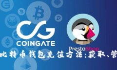 全面解析比特币钱包充值
