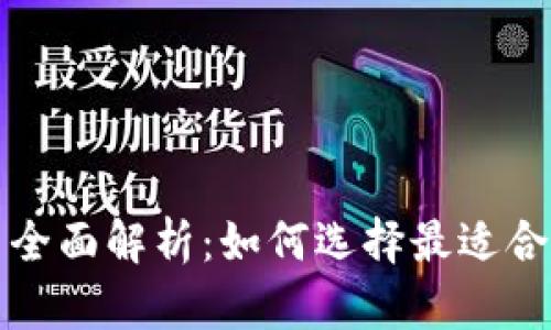 比特币钱包格式全面解析：如何选择最适合你的比特币钱包