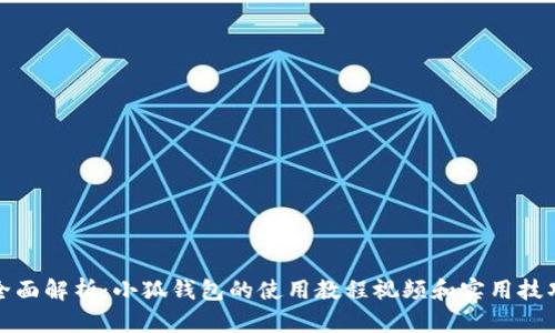 全面解析：小狐钱包的使用教程视频和实用技巧
