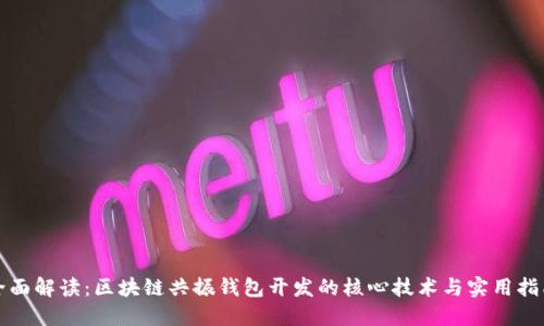 全面解读：区块链共振钱包开发的核心技术与实用指南