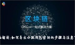 全面解析：如何导出小狐