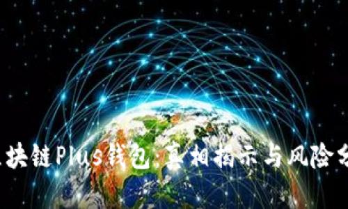  区块链Plus钱包：真相揭示与风险分析