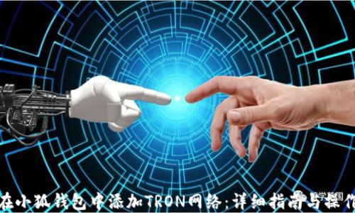 
如何在小狐钱包中添加TRON网络：详细指南与操作步骤