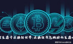 如何生存于区块链世界：