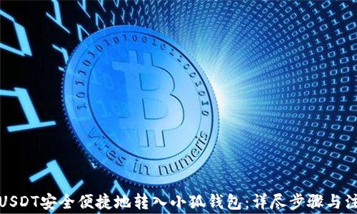 
如何将USDT安全便捷地转入小狐钱包：详尽步骤与注意事项