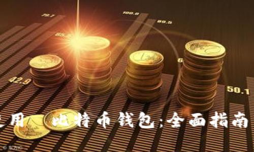 如何安全使用犇比特币钱包：全面指南与最佳实践