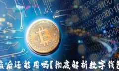 小狐钱包被盗后还能用吗