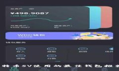 全面解析：比特币SV使用的