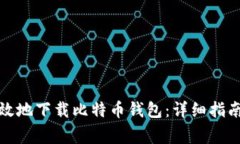 如何安全有效地下载比特