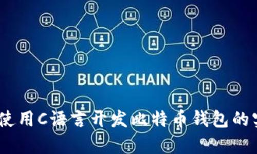 全面解析：使用C语言开发比特币钱包的实现与技巧